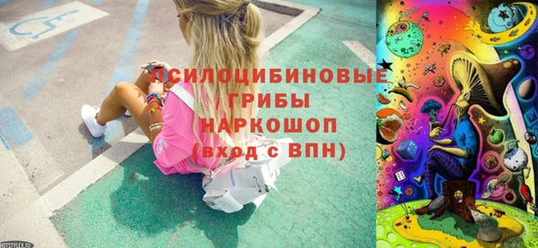 a pvp Дмитровск
