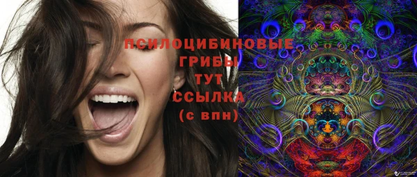 каннабис Белокуриха