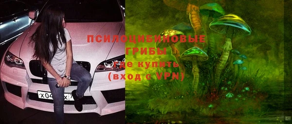 каннабис Белокуриха